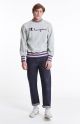 Sweatshirt Champion men grey purple 211685S18 EM004 S8IFA3IT39 LOXGM PRV