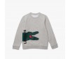 Sweatshirt Junior Lacoste SJ6828 W9D Silver Chine Multico