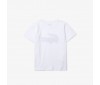 T-shirt Junior Lacoste TJ2910 AU8 White Black