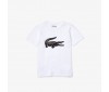 T-shirt Junior Lacoste TJ2910 AU8 White Black